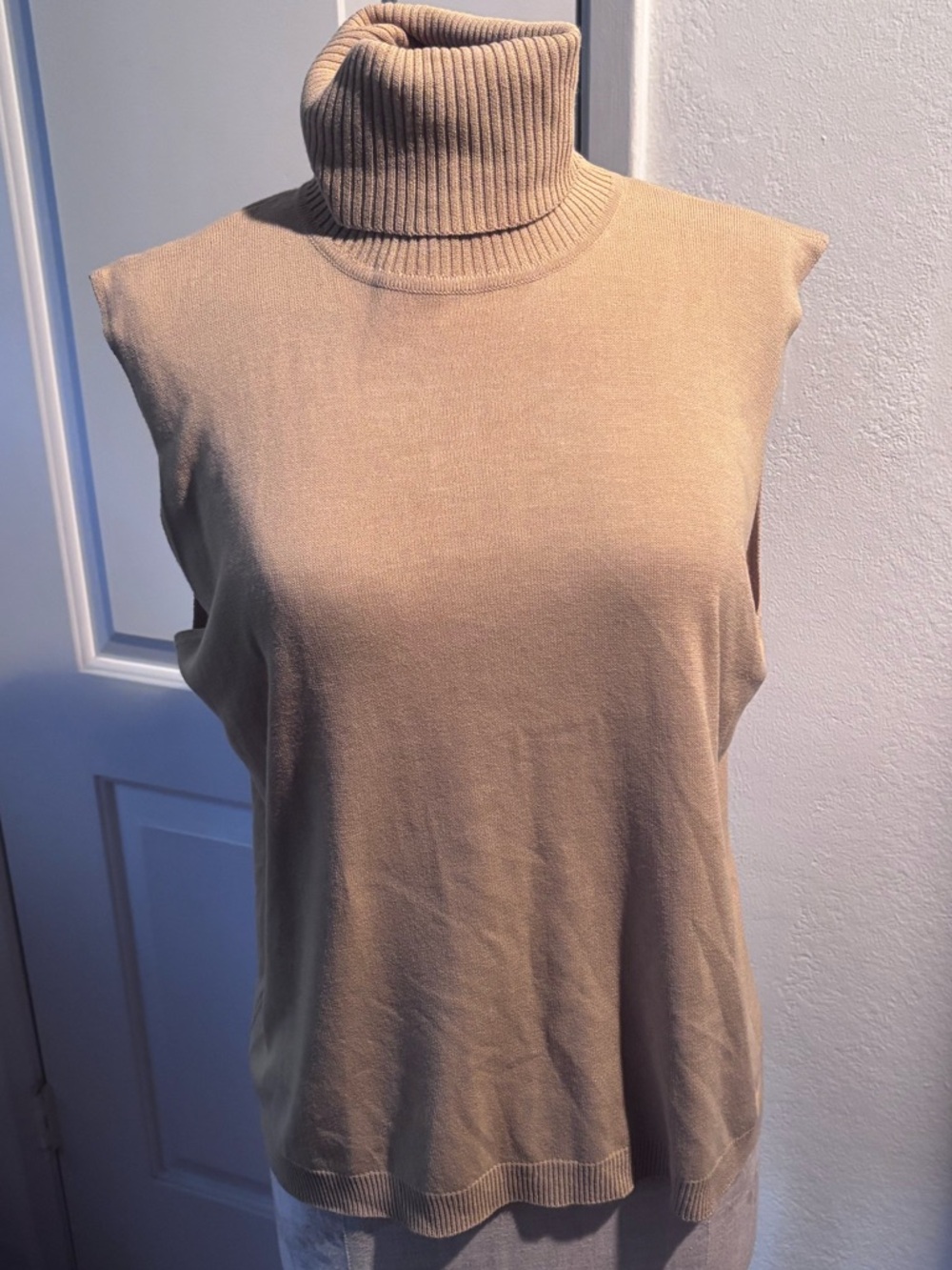 Gorgeous Ellen Tracy sleeveless turtleneck